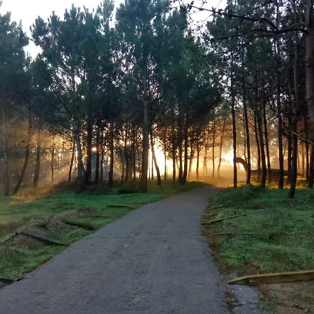 アパート West Terrace House - Ocean View *